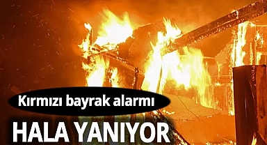 Antalya, Konya, Sivas, Ankara, Erzurum ve Van'ın toplamından daha büyük alan yandı