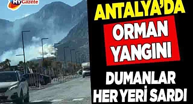 Antalya'da Korkutan Yangın! Alevler Her yeri Sardı
