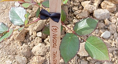 Gazipaşa'dan Bolu'daki çocuklara anlamlı anma! 36 gül fidanı dikildi