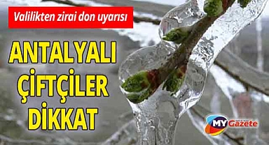 Antalya Valiliği'nden zirai don uyarısı! İç kesimlerde hafif don bekleniyor