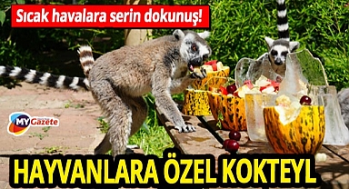 Sıcak havalara serin dokunuş! Antalya Doğal Yaşam Parkı'nda hayvanlar için özel bakım!