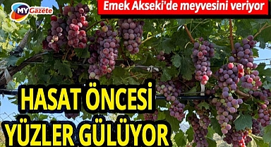 Akseki'de üzüm hasadı başlıyor! Rekoltede yüzde 25 artış bekleniyor