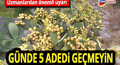 Gazipaşa'da dikenli incir alarmı! Aşırı tüketim hastaneleri doldurdu