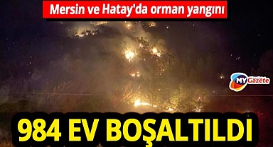 Mersin ve Hatay'da orman yangını Binlerce kişi tahliye edildi