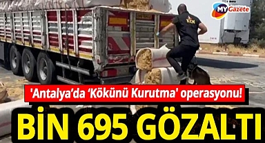 Uyuşturucu tacirlerine 'Kökünü Kurutma' operasyonu! 73 ilde bin 695 şüpheli yakalandı