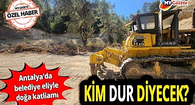 Antalya'da belediye eli ile doğa katliamı