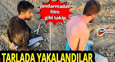 31 yıl hapis cezalı kaçaklara nefes kesen operasyon! Susam tarlasında hırsızlık yaparken yakalandılar