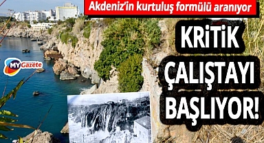 İklim krizine Akdeniz'den yanıt! Muratpaşa Belediyesi'nden