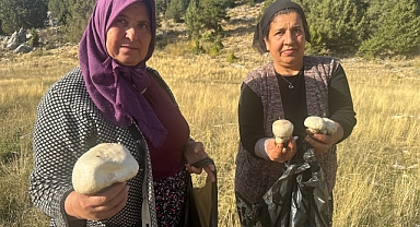Toroslar'da mantar bereketi! Vatandaşlar dağlara akın etti
