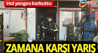 Alanya halinde yangın şoku! Maddi zarar meydana geldi