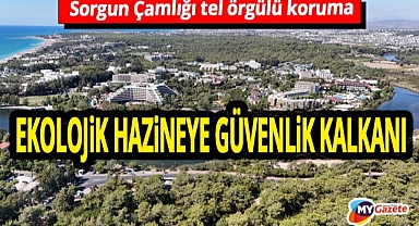 Antalya'da ekolojik hazineye güvenlik kalkanı! Manavgat'ın akciğeri Sorgun Çamlığı tel örgülü koruma