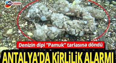 Antalya’da kirlilik patladı! Sigara izmaritleri deniz dibinde şaşkına çevirdi