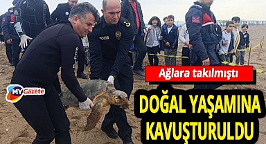 Antalya Lara sahilinde ağlara dolanan Caretta Caretta “Deniz 155” kurtarıldı