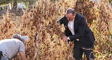 Başkan Kotan’dan Çandır fasulyesi müjdesi! 