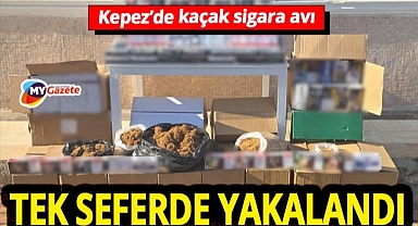 Depoda saklanan kaçak serveti jandarma ortaya çıkardı! 