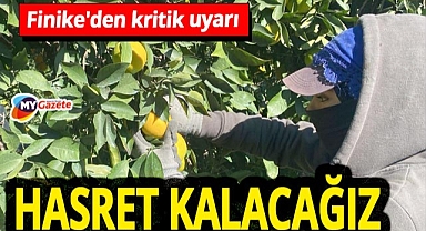 Finike portakalında rekor başlangıç! Rekolte bekleniyor