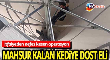 İtfaiyeden nefes kesen operasyon! Manavgat Pazarı'nın huni çatısında mahsur kalan kedi kurtarıldı!