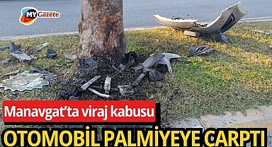 Kontrolden çıkan araç palmiyeye çarptı