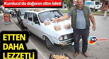 Kumluca’da gökyüzü ile toprak buluştu! Şimşek çakan yerde altın değerinde mantar çıktı!