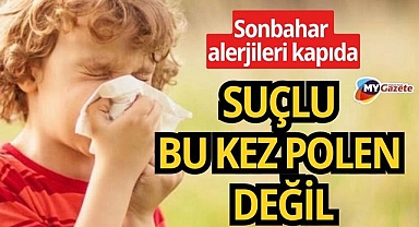 Sonbahar alerjileri kapıda