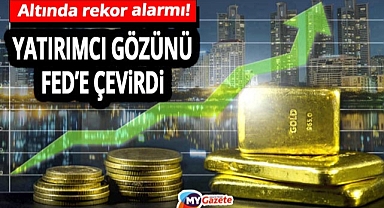 1979’dan bu yana en güçlü yıl! Altın rekor yolunda hız kesmiyor