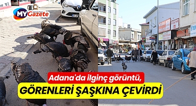 Adana'da ilginç görüntü, Görenleri Şaşkına Çevirdi