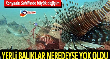 Akdeniz’de büyük ekolojik değişim! Kızıldeniz’den gelen türler yerli balıkları yok ediyor