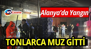 Alanya'da Yangın Tonlarca muz zarar gördü
