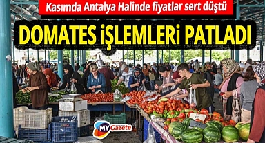 Antalya'da domates ve sebze alıcıları kazanıyor, meyvede ters trend