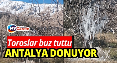 Bey dağlarına kar yağdı yüksek tepeler buz tuttu ANTALYA DONUYOR!