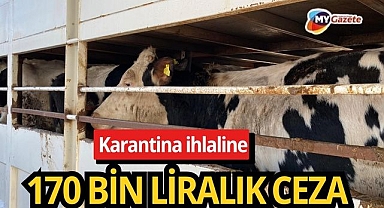 Burdur’da karantina ihlaline 170 bin liralık ceza
