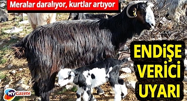Büyükşehir Yasası hayvancılığı zorluyor! Çalıştaydan sert eleştiri