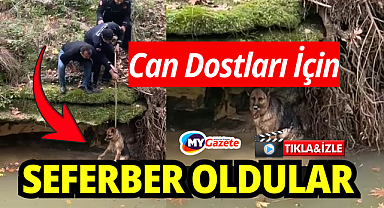 Can Dostları İçin Seferber Oldular: Köpek Son Anda Kurtarıldı