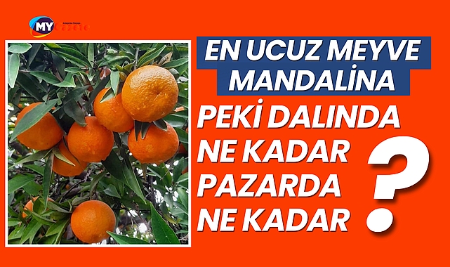 En ucuz meyve mandalina: Dalında ne kadar pazarda ne kadar ?