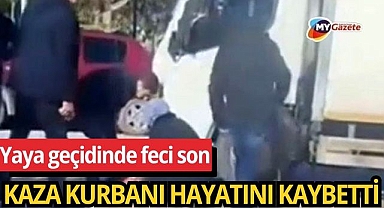 Kamyonet yaya geçidinde can aldı