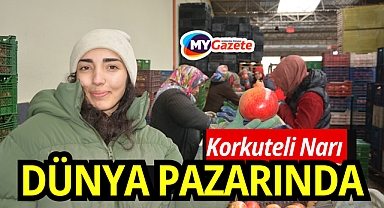Korkuteli’nde Nar Bereketi İhracata Dönüştü