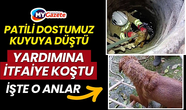 Kuyuya Düşen Köpeğin Yarımına İtfaiye Koştu