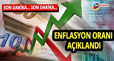 SON DAKİKA! Kasım ayı enflasyon oranları açıklandı...