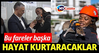 Antalya'da arama kurtarmada devrim: fareler sahaya iniyor