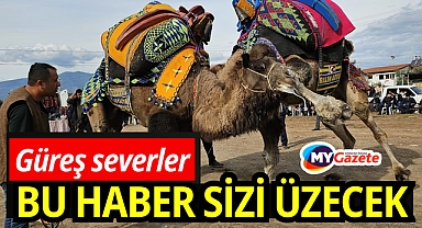 Antalya'da güreş severleri üzecek haber! 
