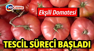 Döşemealtı’nın Ekşili Domatesi resmi kimliğine kavuşuyor
