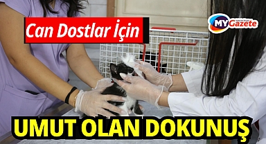 Kepez’in şefkat eli 2025’te binlerce can dosta uzandı