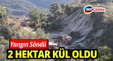 Orman yangınında zararın boyutu ortaya çıktı: 2 hektar zarar gördü
