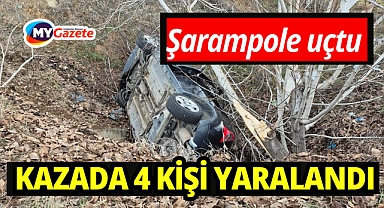 Otomobil şarampole devrildi: 4 yaralı