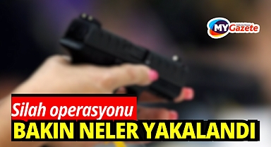 Ruhsatsız silah operasyonu: Bakın neler neler yakalandı!