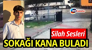 Silahlı saldırıya uğrayan baba yaralandı, 16 yaşındaki oğlu hayatını kaybetti