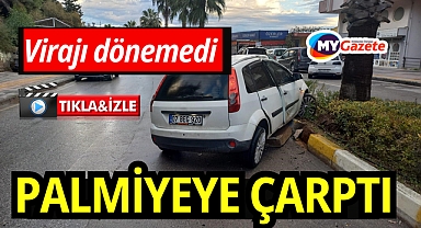 Virajda kontrolü kaybetti, palmiyede son buldu
