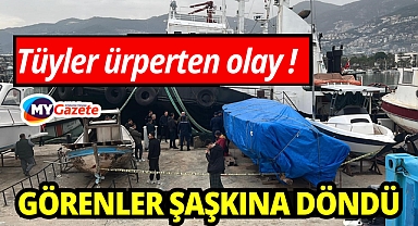 Alanya'da tüyler ürperten olay: Görenler şaşkına döndü!