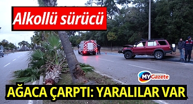 Alkollü sürücü palmiyeye çarptı: 2 yaralı