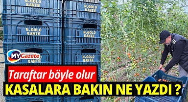 Antalya'da Fenerbahçe taraftarı domates kasalarına bakın ne yazdı?